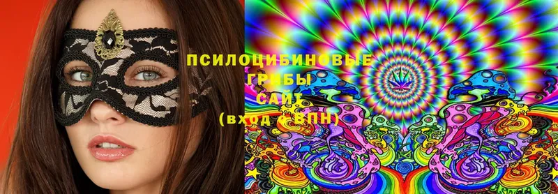 Галлюциногенные грибы Cubensis  Тобольск 